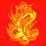 🇨🇳全球华人社区🇨🇳
