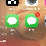 im短信一比一精仿