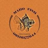 Maho_fish