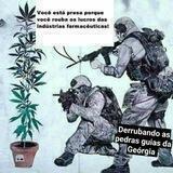 MACONHA MATA O CÂNCER