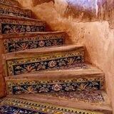 ذَوقٌ عَرَبِيٌّ