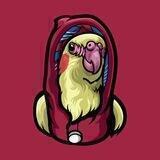 Bird Bro Announcements