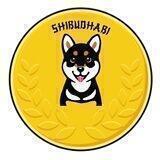 SHIBUDHABI Entry Channel