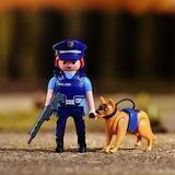 Dog trainer V2