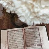 خيره الإمام علي (ع)