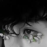 shadow dears