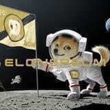 Elonereum - 7% Dogecoin Rewards!