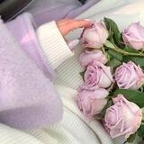شوق❤︎︎.