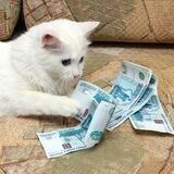 WB/Ozon за косарь