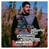 محافظ مستشهد