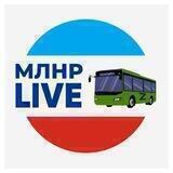 Мобилизация ЛНР Live