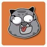 Kungfu Cat