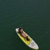 AXE.SUPBOARD -