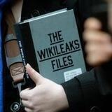 Revealing Wikileaks Files