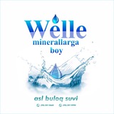 Welle Water