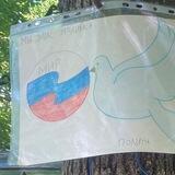 Помощь Донбассу 🇷🇺