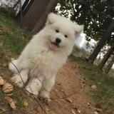 海航传媒直推App交流群