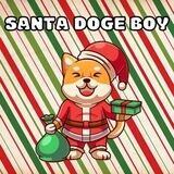 Santa Doge Boy 🐶🎅🏻