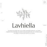 lavhiella. open 20% off!