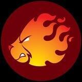 Burn the Bear Coin