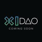 X1-DAO Community Chat