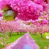 الْـــجـَــنَّةُ مَــنَــالُــنَا🕊♥️