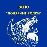 Полярные волки
