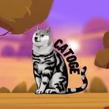Catoge Inu