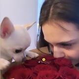 ɞ 𝗔𝗺𝗮𝗿𝗶𝗻𝗴 َ.