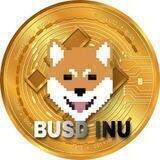 BUSD INU