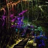 LIGHTLAND_PARK🤩