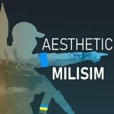 aesthetic military shitposting✙