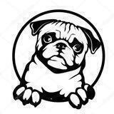 dog_center2 | داگ سنتر