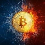 CRYPTO ARTYR