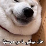 #اعتماد دیجی_چیت