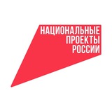 Чат Национальные проекты России