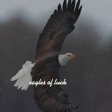 eagles good luck