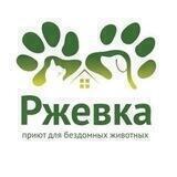 Приют «Ржевка» для бездомных животных