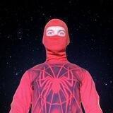 🕸️The human spider
