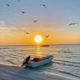 ☘️ طبیعت زیبا و شکوه آفرینش 💕