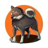 SHIKOKU INU BSC | No Tax | Burn Lp & Renounced