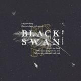 Black swan 🦢🖤
