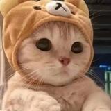 弑神端口👍