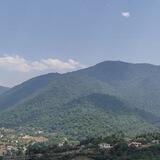 چنل اعتماد گربه