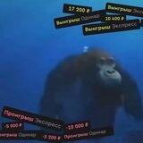 Прогруз 200