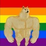 Gay Doge Inu | LGBT 🏳️‍🌈