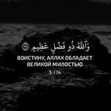 Мусульмане – طاعة 🤎