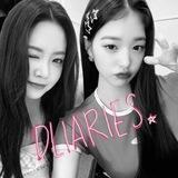 Dliaries: open