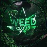 🛒 WEED CLOUD SHOP | ОДНОРАЗОВЫЕ ПОД СИСТЕМЫ | ТЕХНИКА