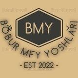Bobur MFY Yoshlari